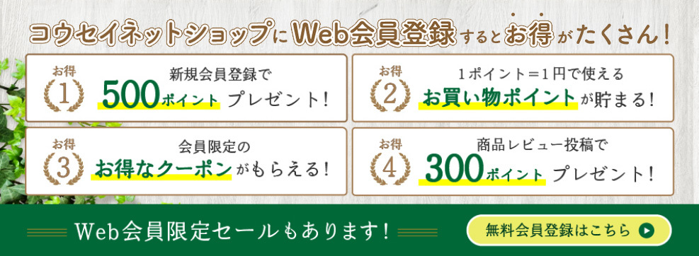 /top/top-slider/slider83.jpg